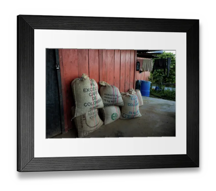 Framed Print : Sacks of coffee harvested in Finca Bellavista. The families working in the reforestation project earn their livelihood mainly from coffee trade Framed Print : Sacks of coffee harvested in Finca Bellavista. The families working in the reforestation project earn their livelihood mainly from coffee trade