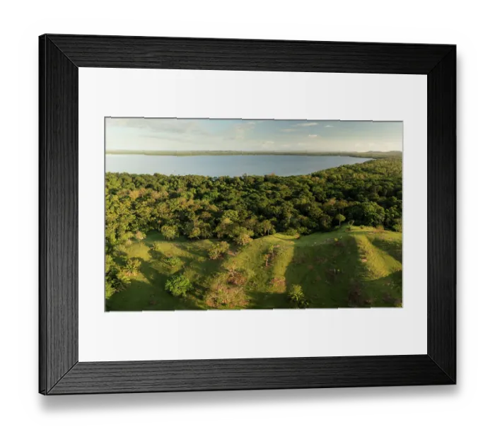 Framed Print : Aerial view of the border between monkey's forest habitat and deforested areas, Marimonda, Necocli, Colombia. January, 2022 Framed Print : Aerial view of the border between monkey's forest habitat and deforested areas, Marimonda, Necocli, Colombia. January, 2022