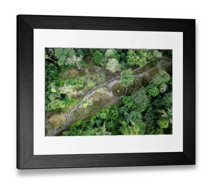Framed Print : Aerial view of the core area of Ciudad Perdida, archaeological site of an ancient city, surrounded by rainforest, Sierra Nevada de Santa Marta, Colombia. December, 2021 Framed Print : Aerial view of the core area of Ciudad Perdida, archaeological site of an ancient city, surrounded by rainforest, Sierra Nevada de Santa Marta, Colombia. December, 2021