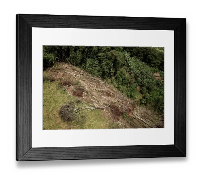 Framed Print : Area of deforestation in the Buritaca valley, Sierra Nevada de Santa Marta, Colombia. December, 2021 Framed Print : Area of deforestation in the Buritaca valley, Sierra Nevada de Santa Marta, Colombia. December, 2021