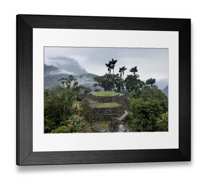 Framed Print : Ciudad Perdida, archaeological site of an ancient city surrounded by rainforest, on a rainy afternoon. Sierra Nevada de Santa Marta, Colombia. December, 2021 Framed Print : Ciudad Perdida, archaeological site of an ancient city surrounded by rainforest, on a rainy afternoon. Sierra Nevada de Santa Marta, Colombia. December, 2021