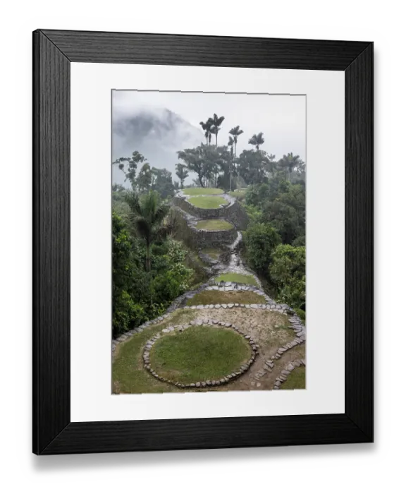 Framed Print : Ciudad Perdida, archaeological site of an ancient city surrounded by rainforest, on a rainy afternoon. Sierra Nevada de Santa Marta, Colombia. December, 2021 Framed Print : Ciudad Perdida, archaeological site of an ancient city surrounded by rainforest, on a rainy afternoon. Sierra Nevada de Santa Marta, Colombia. December, 2021