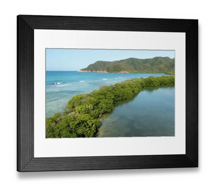 Framed Print : Aerial view of coastline and mangrove wetlands along Chengue Bay Tayrona National Park, Colombia, Caribbean Sea. December, 2021 Framed Print : Aerial view of coastline and mangrove wetlands along Chengue Bay Tayrona National Park, Colombia, Caribbean Sea. December, 2021