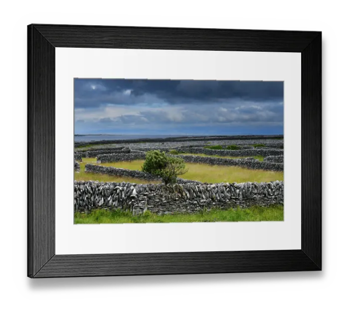 Framed Print : Drystone walls, Inisheer, Aran Islands, County Galway, Republic of Ireland. June, 2019 Framed Print : Drystone walls, Inisheer, Aran Islands, County Galway, Republic of Ireland. June, 2019