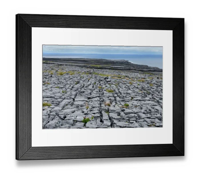 Framed Print : Limestone pavement, Inishmaan, Aran Islands, County Galway, Republic of Ireland. June, 2019 Framed Print : Limestone pavement, Inishmaan, Aran Islands, County Galway, Republic of Ireland. June, 2019