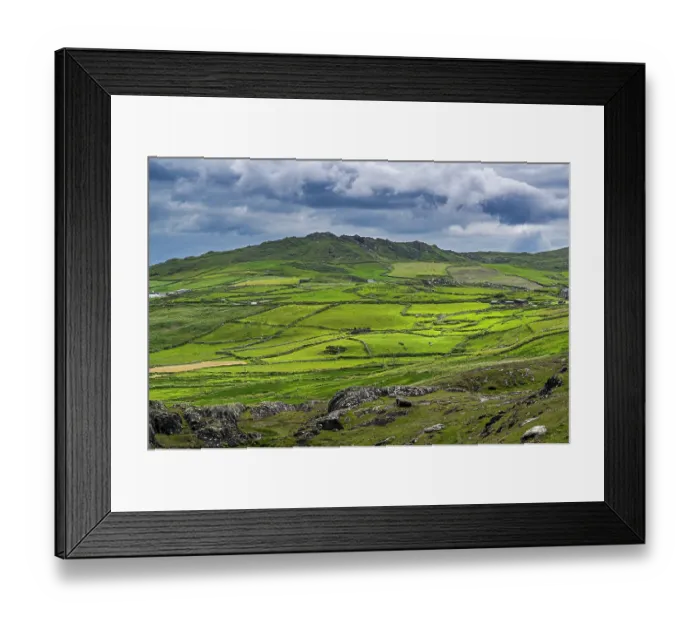 Framed Print : Fields and dry stone walls, Beara Peninsula, County Cork, Republic of Ireland. June, 2022 Framed Print : Fields and dry stone walls, Beara Peninsula, County Cork, Republic of Ireland. June, 2022
