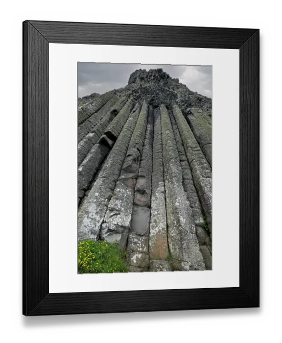 Framed Print : Organ Pipes basalt columns, Giant's Causeway, UNESCO World Heritage Site, County Antrim, Northern Ireland, UK. June, 2022 Framed Print : Organ Pipes basalt columns, Giant's Causeway, UNESCO World Heritage Site, County Antrim, Northern Ireland, UK. June, 2022