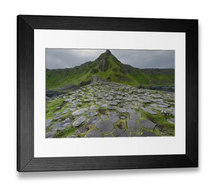 Framed Print : Basalt hexagonal rocks at the Giant's Causeway, UNESCO World Heritage Site, County Antrim, Northern Ireland, UK. June, 2022