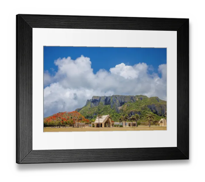 Framed Print : African tulip trees (Spathodea Campanulata) around a World War 2 war memorial, below the Suicide Cliff in Marpi, Saipan Framed Print : African tulip trees (Spathodea Campanulata) around a World War 2 war memorial, below the Suicide Cliff in Marpi, Saipan