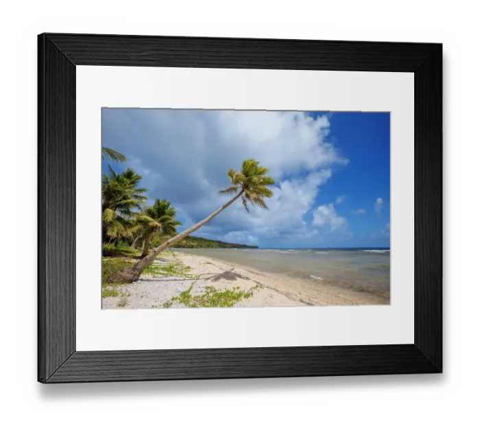 Framed Print : View along the palm-fringed beach at Lao Lao Bay, Saipan, Northern Mariana Islands. May, 2024 Framed Print : View along the palm-fringed beach at Lao Lao Bay, Saipan, Northern Mariana Islands. May, 2024