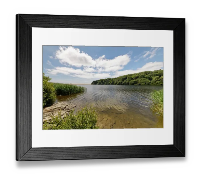 Framed Print : Loe Pool, southwest view towards Loe Bar, Penrose, near Porthleven, The Lizard National Nature Reserve, Cornwall, England, UK. June, 2023 Framed Print : Loe Pool, southwest view towards Loe Bar, Penrose, near Porthleven, The Lizard National Nature Reserve, Cornwall, England, UK. June, 2023