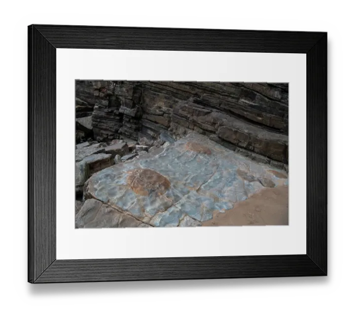 Framed Print : Nodules caused by in-situ cementation of calcite and or siderite around a nucleus, exposed on a bedding plane in Cambrian age sandstone, Porth Ceiriad, Abersoch, Wales, UK Framed Print : Nodules caused by in-situ cementation of calcite and or siderite around a nucleus, exposed on a bedding plane in Cambrian age sandstone, Porth Ceiriad, Abersoch, Wales, UK