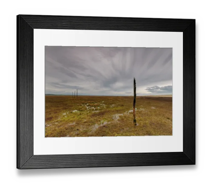 Framed Print : Marker posts on the Pilgrim's trail to Lindisfarne or Holy Island, Northumberland, England, UK. March, 2023 Framed Print : Marker posts on the Pilgrim's trail to Lindisfarne or Holy Island, Northumberland, England, UK. March, 2023