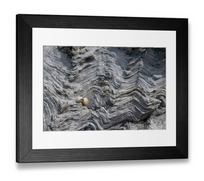 Framed Print : Chevron folded Psammite, a low grade metamorphic rock. Pre-Cambrian in age, Valley, Anglesey, Wales, UK. July, 2022