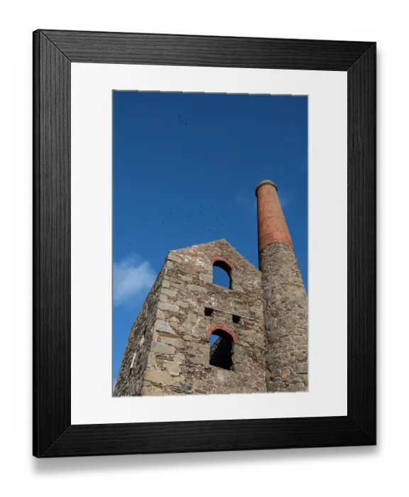 Framed Print : Flock of Rooks (Corvus frugilegus) flying high above the engine house of Wheal Coates tin mine, St. Agnes, Cornwall, England, UK. February Framed Print : Flock of Rooks (Corvus frugilegus) flying high above the engine house of Wheal Coates tin mine, St. Agnes, Cornwall, England, UK. February