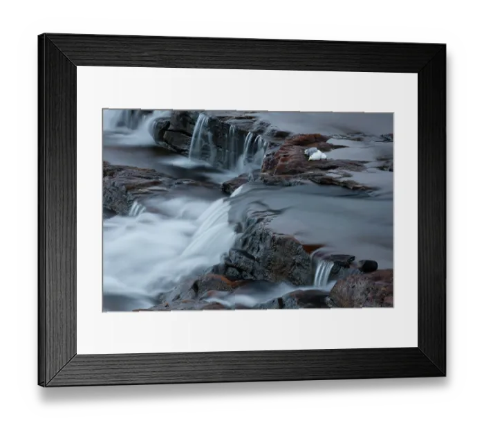 Framed Print : RF - Kittiwake (Rissa tridactyla) killed by avian influenza, Varanger, Norway. July, 2023. (This image may be licensed either as rights managed or royalty free.) Framed Print : RF - Kittiwake (Rissa tridactyla) killed by avian influenza, Varanger, Norway. July, 2023. (This image may be licensed either as rights managed or royalty free.)