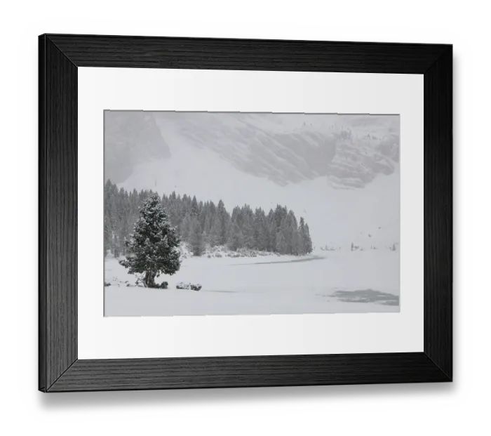 Framed Print : Mountain pines (Pinus uncinata) at edge of frozen mountain lake with snow-covered mountains, Ibon de Plan, Chistau Valley, Pyrenees, Huesca, Spain. December, 2023