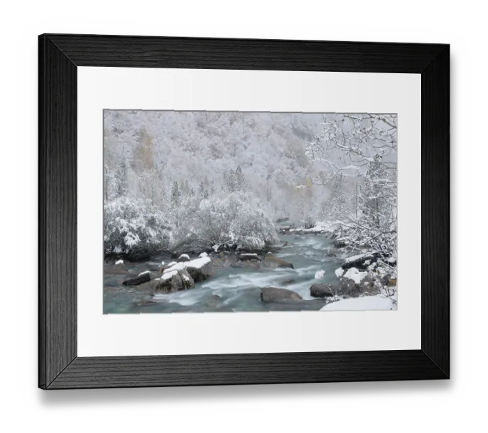 Framed Print : Arazas river flowing through frost-covered forest, Ordesa Valley, Ordesa and Monte Perdido National Park, Pyrenees, Spain. November, 2023