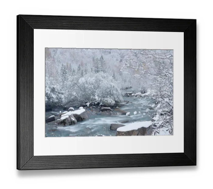 Framed Print : Arazas river flowing through frost-covered forest, Ordesa Valley, Ordesa and Monte Perdido National Park, Pyrenees, Spain. November, 2023 Framed Print : Arazas river flowing through frost-covered forest, Ordesa Valley, Ordesa and Monte Perdido National Park, Pyrenees, Spain. November, 2023