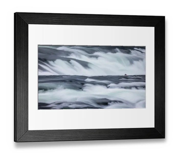 Framed Print : Mallard (Anas platyrhynchos) on water in river rapids, Switzerland. January Framed Print : Mallard (Anas platyrhynchos) on water in river rapids, Switzerland. January