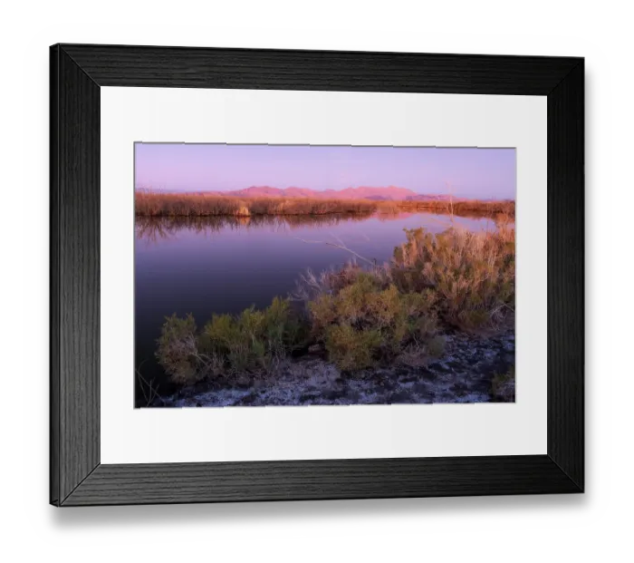 Framed Print : Colorado River at dawn with Sierra El Mayor de Cucapa mountain range in background, near El Indiviso, Baja California, Mexico. November, 2018 Framed Print : Colorado River at dawn with Sierra El Mayor de Cucapa mountain range in background, near El Indiviso, Baja California, Mexico. November, 2018