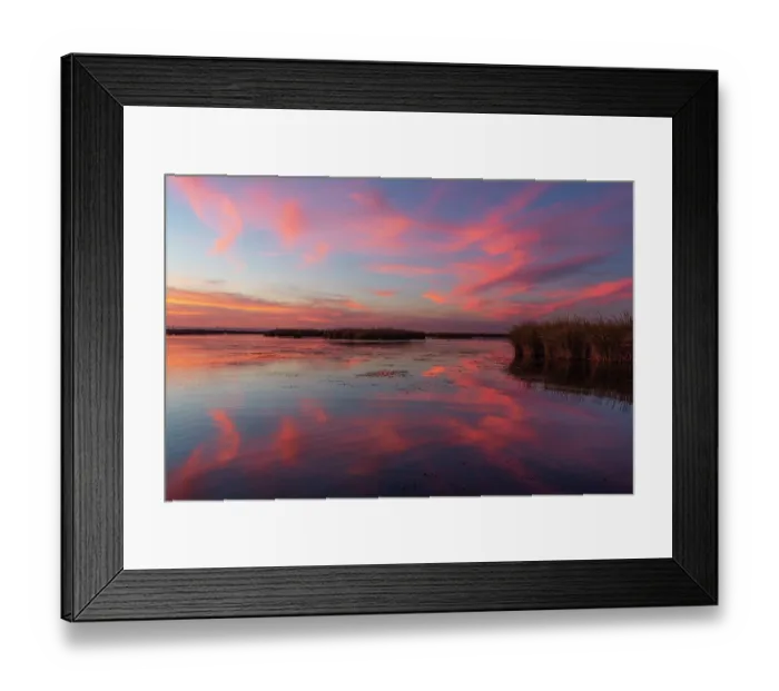 Framed Print : Southern cat-tail (Typha domingensis) vegetation along riverbank at dusk, Cienega de Santa Clara, Colorado River, Sonora, Mexico
