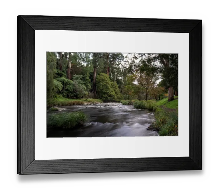 Framed Print : Yarra River surrounded by woodland, Warburton, Victoria, Australia. April, 2023 Framed Print : Yarra River surrounded by woodland, Warburton, Victoria, Australia. April, 2023