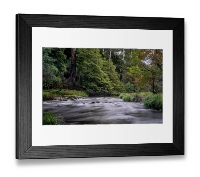 Framed Print : Yarra River surrounded by woodland, Warburton, Victoria, Australia. April, 2023 Framed Print : Yarra River surrounded by woodland, Warburton, Victoria, Australia. April, 2023