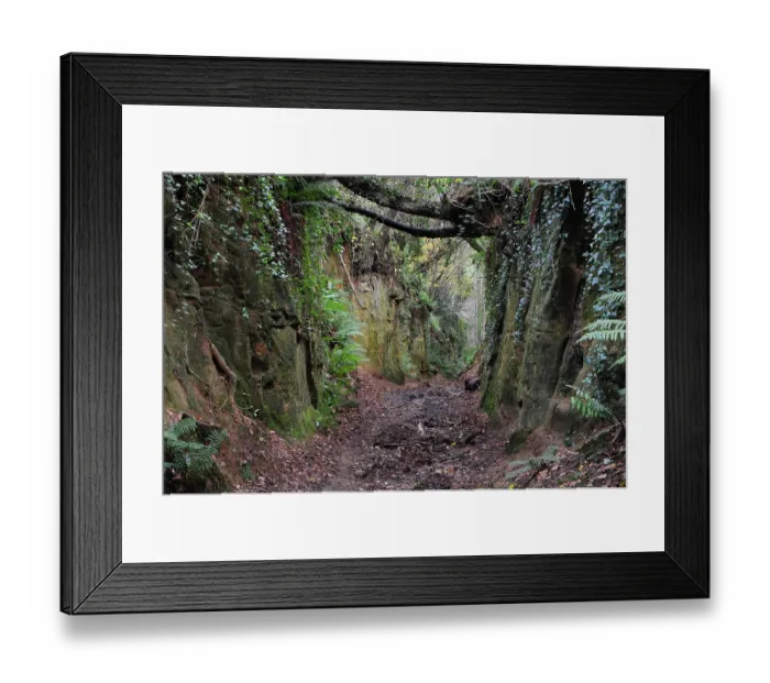 Framed Print : Shutes Lane holloway, Symondsbury, Dorset, England, UK, December 2023 Framed Print : Shutes Lane holloway, Symondsbury, Dorset, England, UK, December 2023