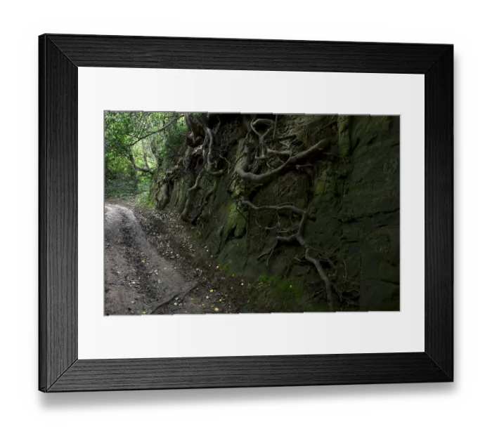Framed Print : Moss covered bank of Hell Lane holloway with words and symbols carved into it, Symondsbury, Dorset, England, UK, June 2021 Framed Print : Moss covered bank of Hell Lane holloway with words and symbols carved into it, Symondsbury, Dorset, England, UK, June 2021