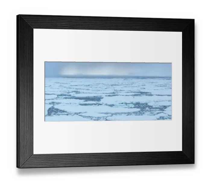Framed Print : Emperor penguin (Aptenodytes forsteri) standing alone on an ice flow, Coulman Island Area, Ross Sea, Antarctica Framed Print : Emperor penguin (Aptenodytes forsteri) standing alone on an ice flow, Coulman Island Area, Ross Sea, Antarctica