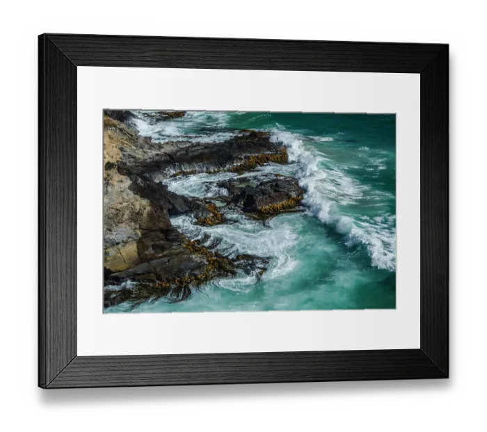 Framed Print : Waves crashing against a kelp covered rocky shoreline, Taiaroa Head, Otago Peninsula, South Island, New Zealand. January, 2023 Framed Print : Waves crashing against a kelp covered rocky shoreline, Taiaroa Head, Otago Peninsula, South Island, New Zealand. January, 2023