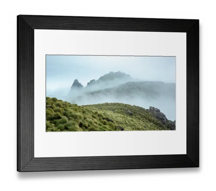 Framed Print : 1735450