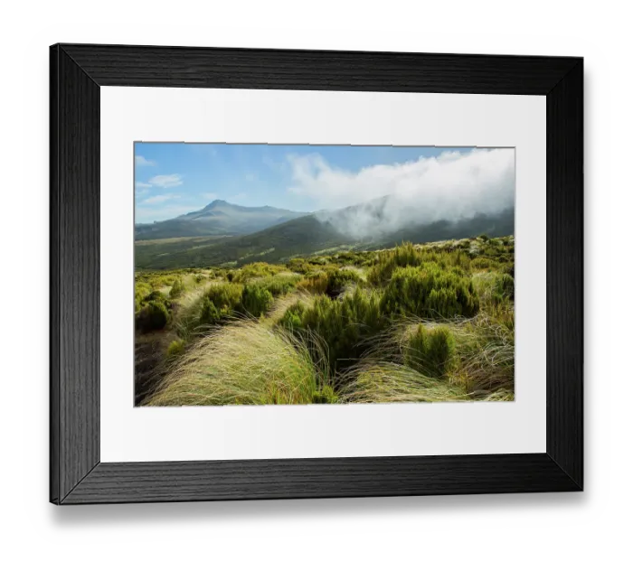 Framed Print : View of low cloud over mountains, Campbell Island, New Zealand Sub Antarctic Islands. February, 2023 Framed Print : View of low cloud over mountains, Campbell Island, New Zealand Sub Antarctic Islands. February, 2023