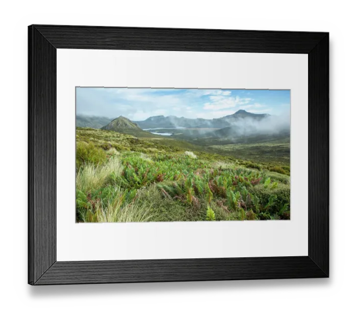 Framed Print : View of low cloud over mountains, Campbell Island, New Zealand Sub Antarctic Islands. February, 2023 Framed Print : View of low cloud over mountains, Campbell Island, New Zealand Sub Antarctic Islands. February, 2023