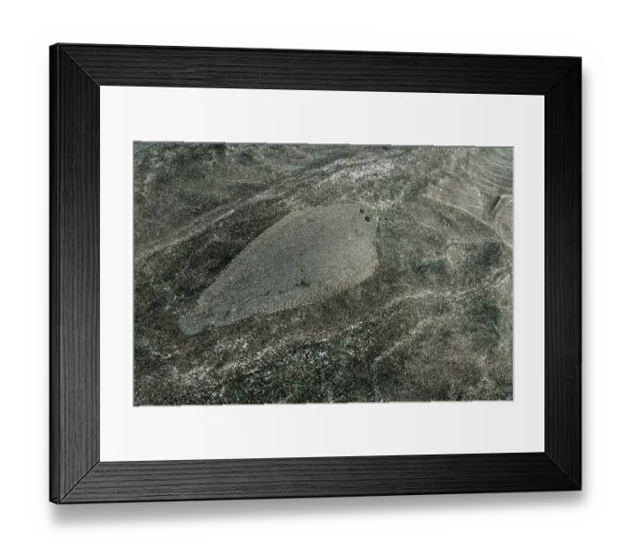 Framed Print : Bastard sole (Microchirus azevia) camouflaged on seabed, Tenerife, Canary Islands, Atlantic Ocean Framed Print : Bastard sole (Microchirus azevia) camouflaged on seabed, Tenerife, Canary Islands, Atlantic Ocean