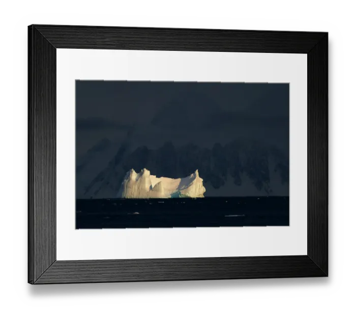 Framed Print : Morning light on and iceberg near Bongrain Point, Pourquoi Pas Island, Antarctic Peninsula, Antarctica. March, 2023 Framed Print : Morning light on and iceberg near Bongrain Point, Pourquoi Pas Island, Antarctic Peninsula, Antarctica. March, 2023