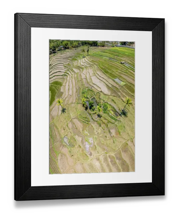 Framed Print : Aerial view of terraced fields, Democratic Republic of Timor-Leste. November, 2023 Framed Print : Aerial view of terraced fields, Democratic Republic of Timor-Leste. November, 2023