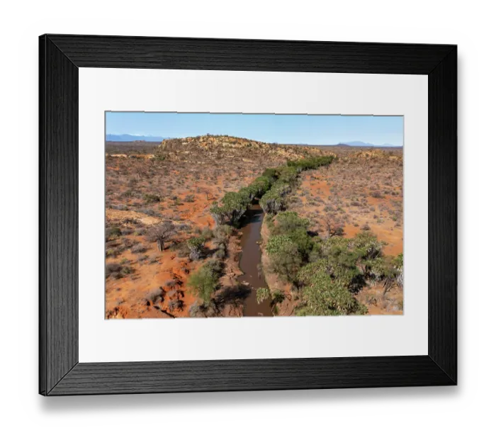 Framed Print : Aerial view of the Galana river flowing through dry scrubland, Tsavo East National Park, Kenya. September, 2023 Framed Print : Aerial view of the Galana river flowing through dry scrubland, Tsavo East National Park, Kenya. September, 2023