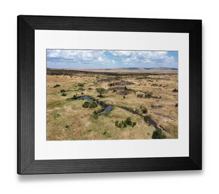 Framed Print : RF - Aerial view of the plains, Masai-Mara game reserve, Kenya. August, 2023. (This image may be licensed either as rights managed or royalty free.) Framed Print : RF - Aerial view of the plains, Masai-Mara game reserve, Kenya. August, 2023. (This image may be licensed either as rights managed or royalty free.)