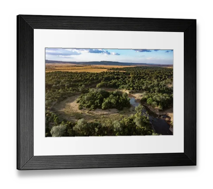 Framed Print : RF - Aerial view of the Mara river, Masai-Mara game reserve, Kenya. August, 2023. (This image may be licensed either as rights managed or royalty free.) Framed Print : RF - Aerial view of the Mara river, Masai-Mara game reserve, Kenya. August, 2023. (This image may be licensed either as rights managed or royalty free.)