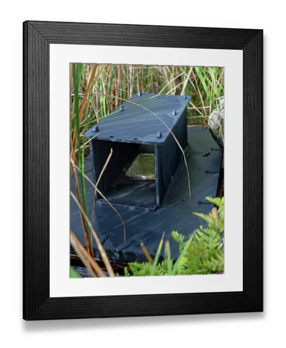 Framed Print : Floating raft moored to the shore of a lake containing a clay footprint trap to record the presence of American mink (Neogale vison) and Water voles (Arvicola amphibius) Framed Print : Floating raft moored to the shore of a lake containing a clay footprint trap to record the presence of American mink (Neogale vison) and Water voles (Arvicola amphibius)