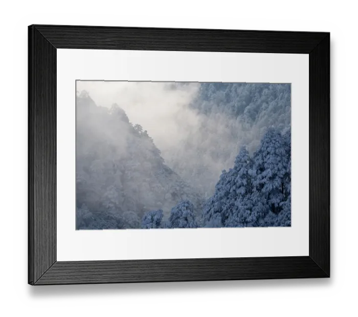 Framed Print : Frosty mountain pine forest landscapes, Giant Panda National Park, Sichuan, China. March, 2024 Framed Print : Frosty mountain pine forest landscapes, Giant Panda National Park, Sichuan, China. March, 2024