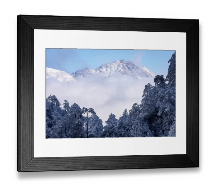 Framed Print : Frosty mountain pine forest landscapes, Mount Jiajingshan, Giant Panda National Park, Sichuan, China. March, 2024 Framed Print : Frosty mountain pine forest landscapes, Mount Jiajingshan, Giant Panda National Park, Sichuan, China. March, 2024