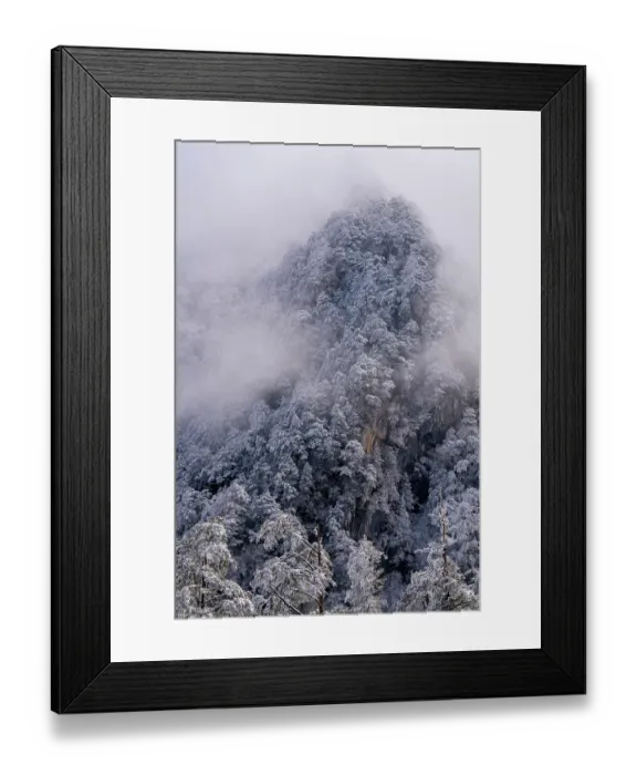 Framed Print : Frosty mountain pine forest landscape, Giant Panda National Park, Sichuan, China. March, 2024 Framed Print : Frosty mountain pine forest landscape, Giant Panda National Park, Sichuan, China. March, 2024