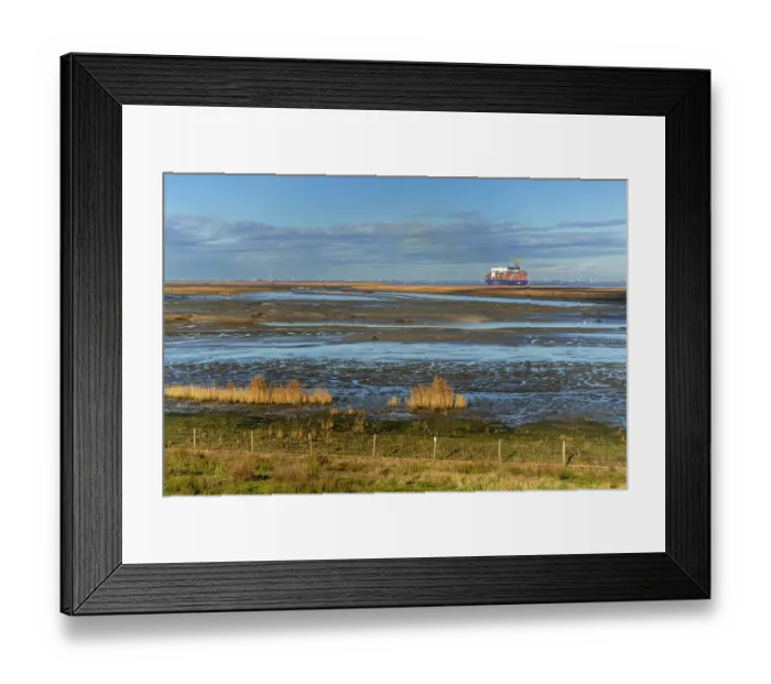 Framed Print : View over salt marsh of the Western Scheldt estuary at nature reserve Prosperpolder, East Flanders, Belgium. November, 2023 Framed Print : View over salt marsh of the Western Scheldt estuary at nature reserve Prosperpolder, East Flanders, Belgium. November, 2023