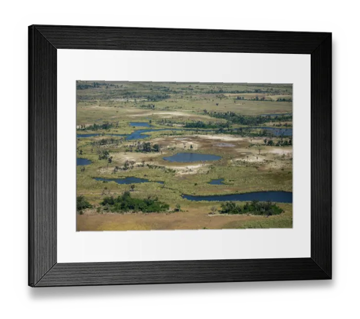 Framed Print : RF - Aerial view over the Okavango Delta, Botswana. May, 2024. (This image may be licensed either as rights managed or royalty free.) Framed Print : RF - Aerial view over the Okavango Delta, Botswana. May, 2024. (This image may be licensed either as rights managed or royalty free.)