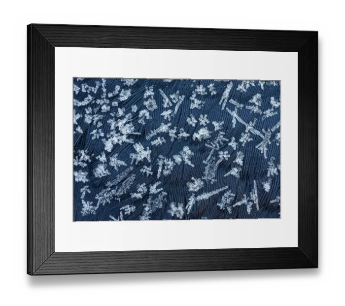 Framed Print : Ice crystals forming on the body of a dead Carrion crow (Corvus corone), Peak District National Park, Derbyshire, UK. January. Focus-stacked Framed Print : Ice crystals forming on the body of a dead Carrion crow (Corvus corone), Peak District National Park, Derbyshire, UK. January. Focus-stacked