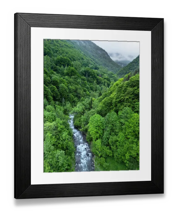 Framed Print : Varrados River flowing through through deciduous forests of Beech (Fagus sylvatica), European ash (Fraxinus excelsior) and Silver fir (Abies alba), Aran Valley, Pyrenees Framed Print : Varrados River flowing through through deciduous forests of Beech (Fagus sylvatica), European ash (Fraxinus excelsior) and Silver fir (Abies alba), Aran Valley, Pyrenees