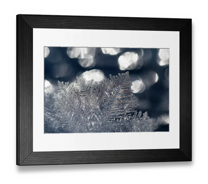 Framed Print : Ice crystals on frozen lake, Upper Bavaria, Germany. January Framed Print : Ice crystals on frozen lake, Upper Bavaria, Germany. January